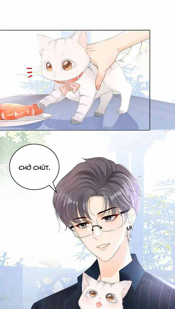 Cô Ấy Ngày Nào Cũng Lên Hot Search! Chapter 42 - Trang 2