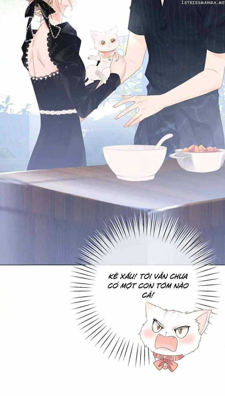 Cô Ấy Ngày Nào Cũng Lên Hot Search! Chapter 42 - Trang 2