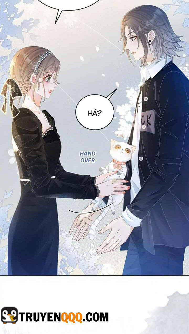 Cô Ấy Ngày Nào Cũng Lên Hot Search! Chapter 43 - Trang 2
