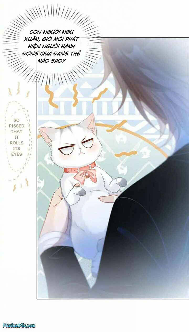 Cô Ấy Ngày Nào Cũng Lên Hot Search! Chapter 43 - Trang 2