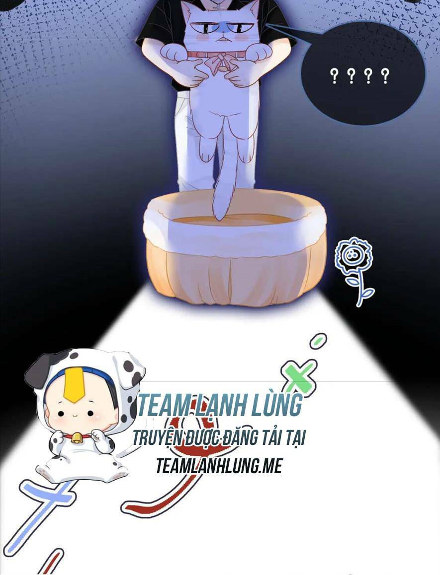 Cô Ấy Ngày Nào Cũng Lên Hot Search! Chapter 46 - Trang 2