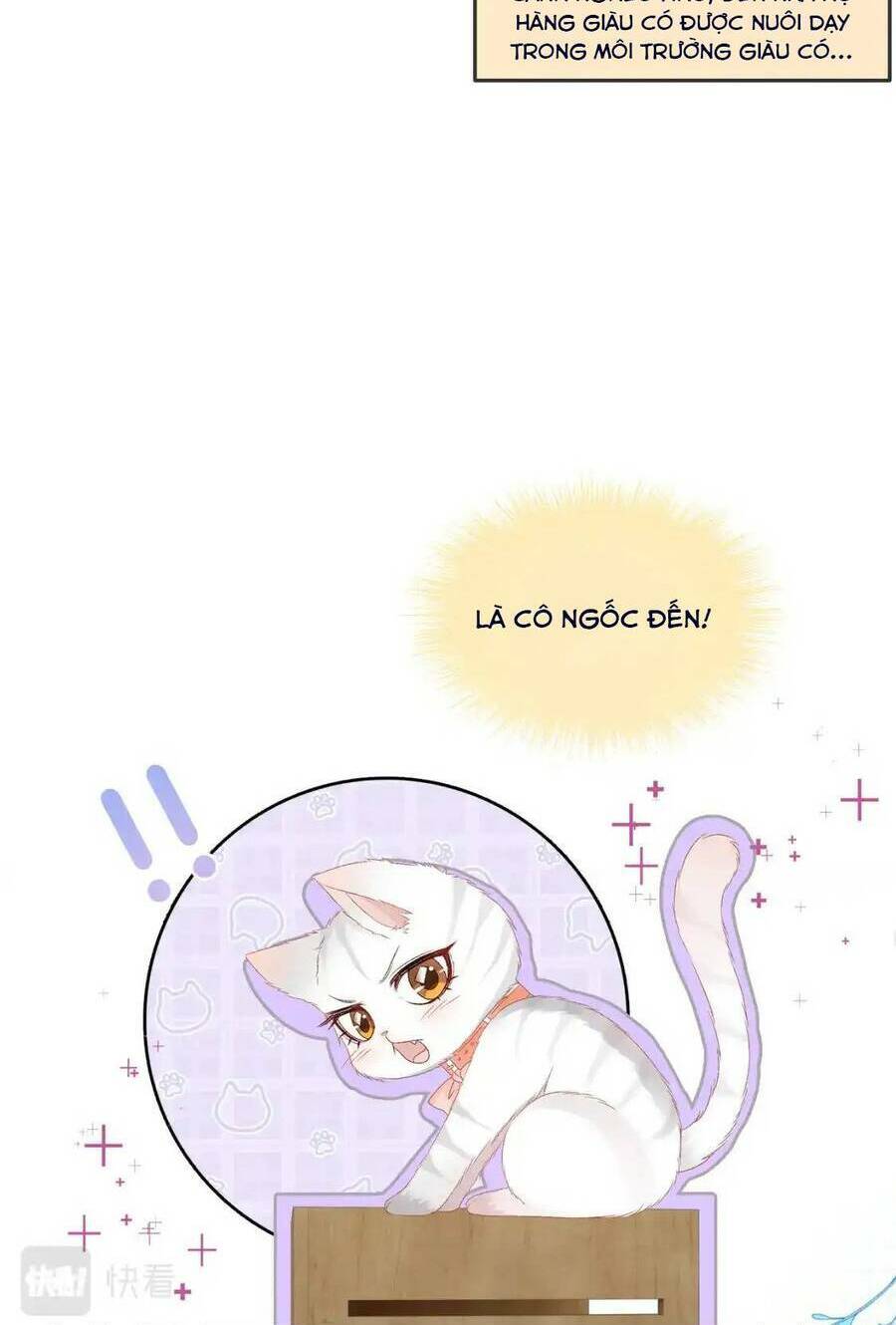 Cô Ấy Ngày Nào Cũng Lên Hot Search! Chapter 98 - Trang 2