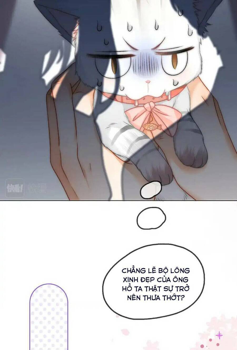 Cô Ấy Ngày Nào Cũng Lên Hot Search! Chapter 98 - Trang 2