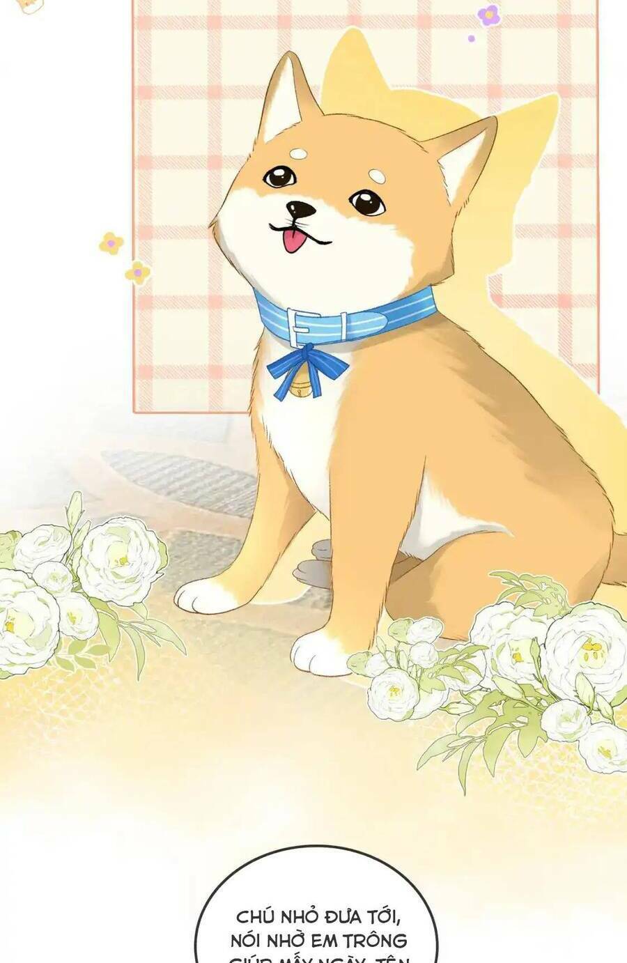 Cô Ấy Ngày Nào Cũng Lên Hot Search! Chapter 99 - Trang 2