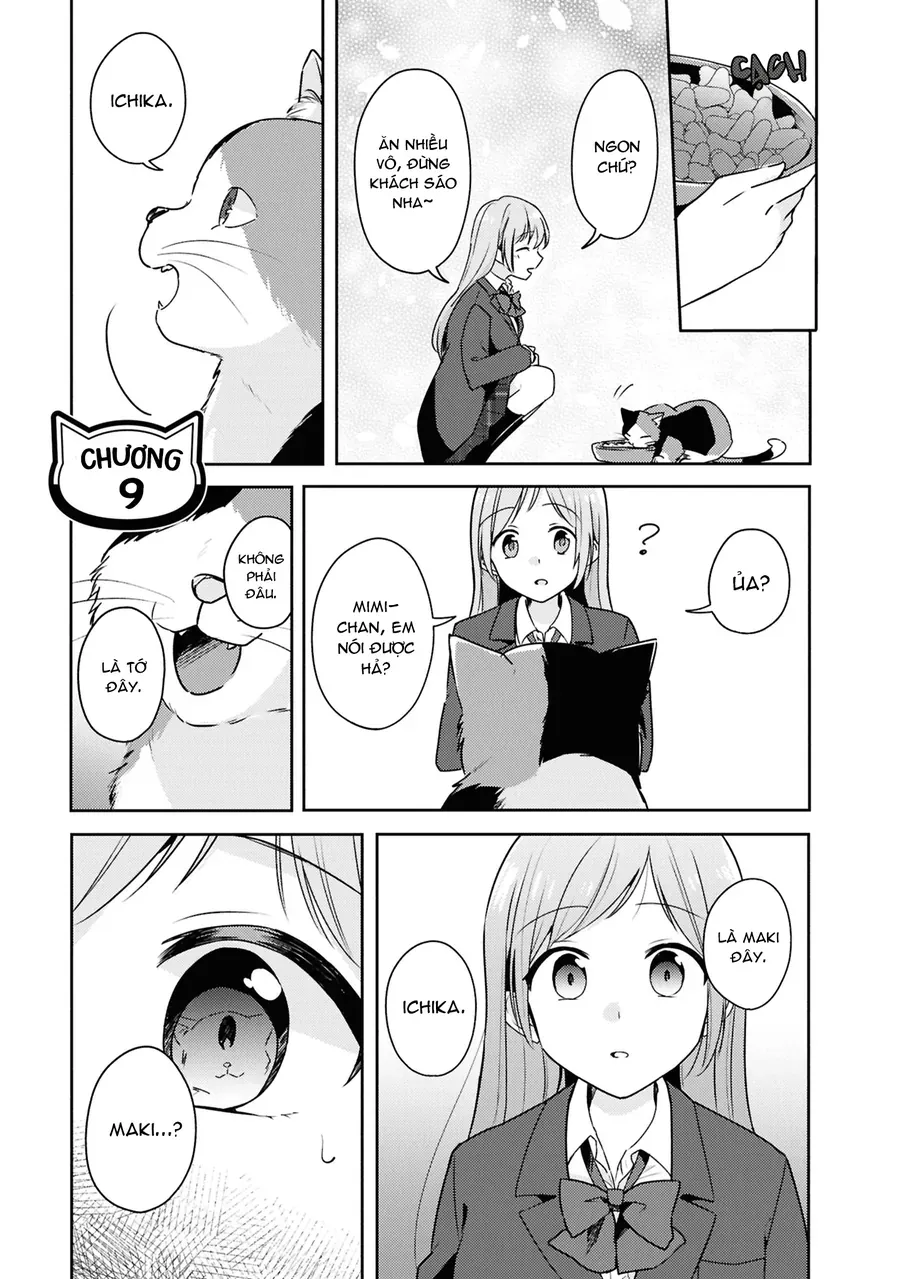 Cô Bản Thuở Nhỏ Kêu Meo Dưới Váy Của Tôi Chapter 9 - Trang 2