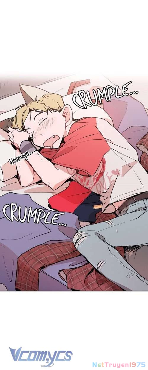 Cô Dâu Của Quái Vật Chapter 5 - Trang 2