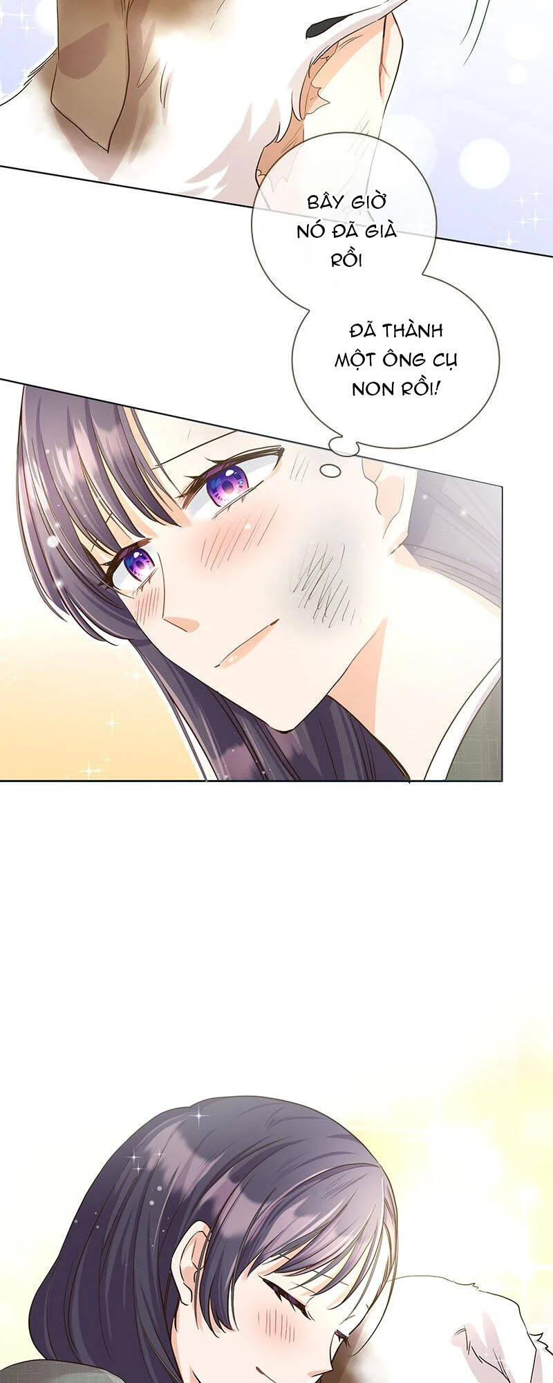 Cô Dâu Của Sói Trắng Chapter 1 - Trang 2