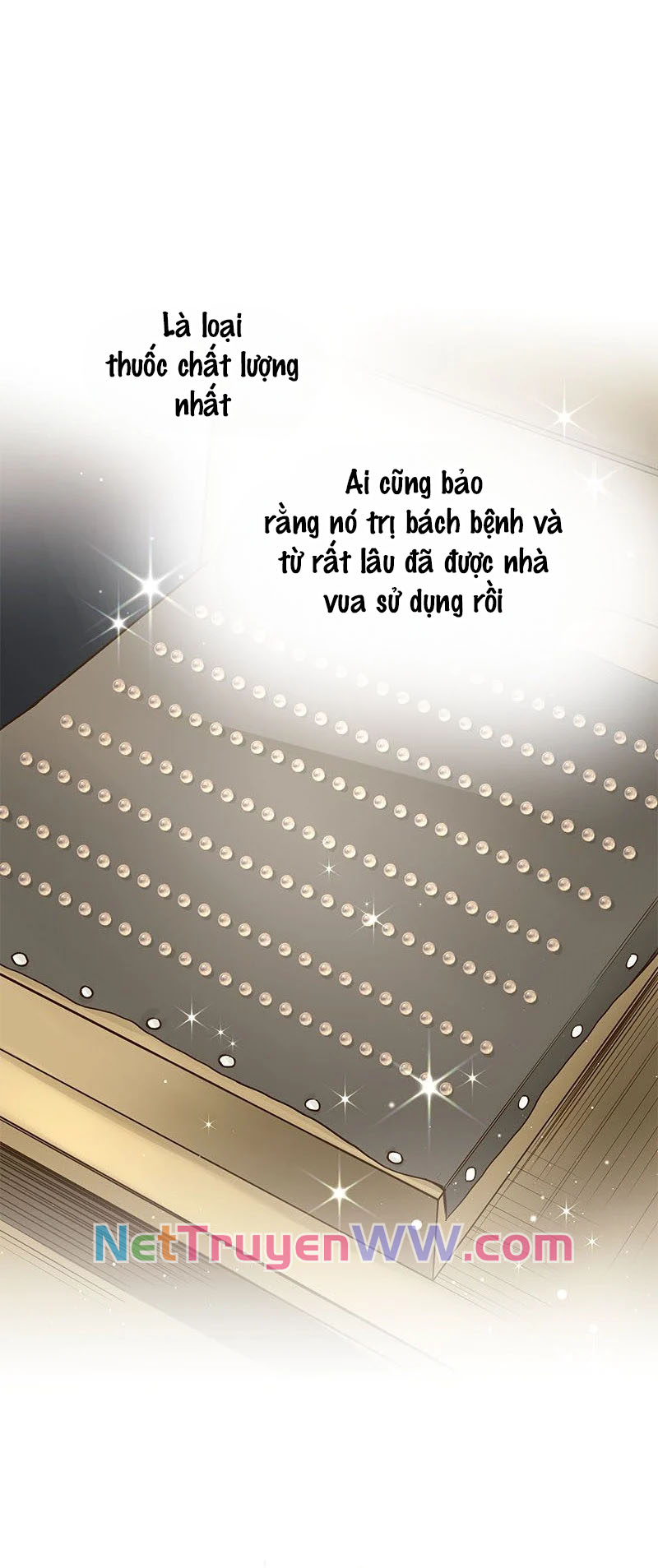 Cô Dâu Của Sói Trắng Chapter 10 - Trang 2