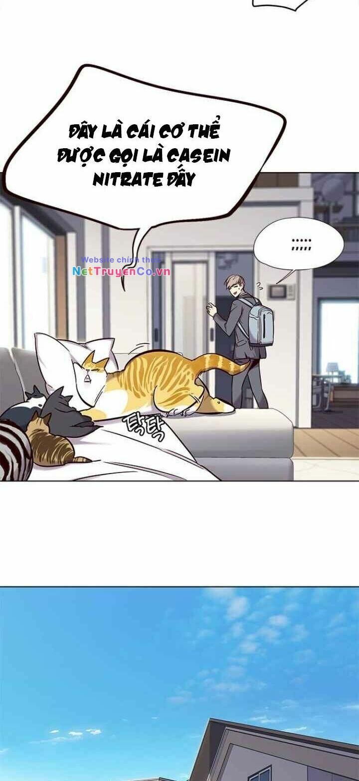 Cô Dâu Của Sói Trắng Chapter 100 - Trang 2