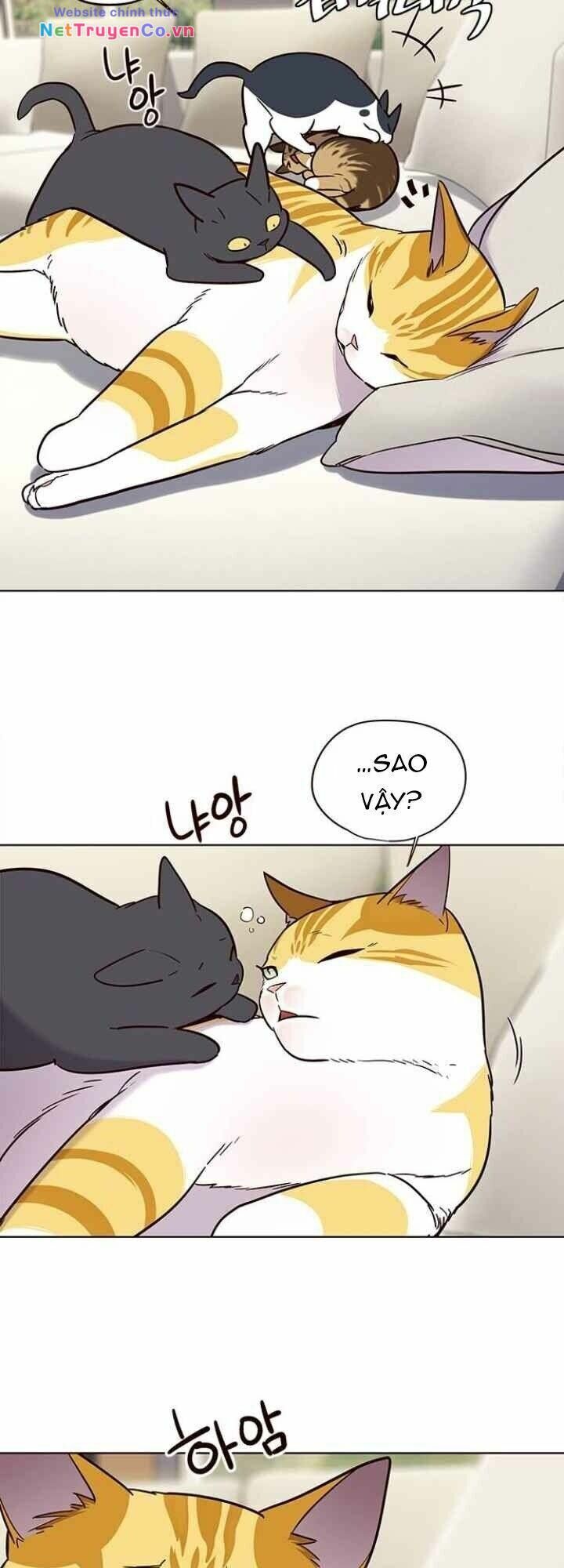 Cô Dâu Của Sói Trắng Chapter 101 - Trang 2