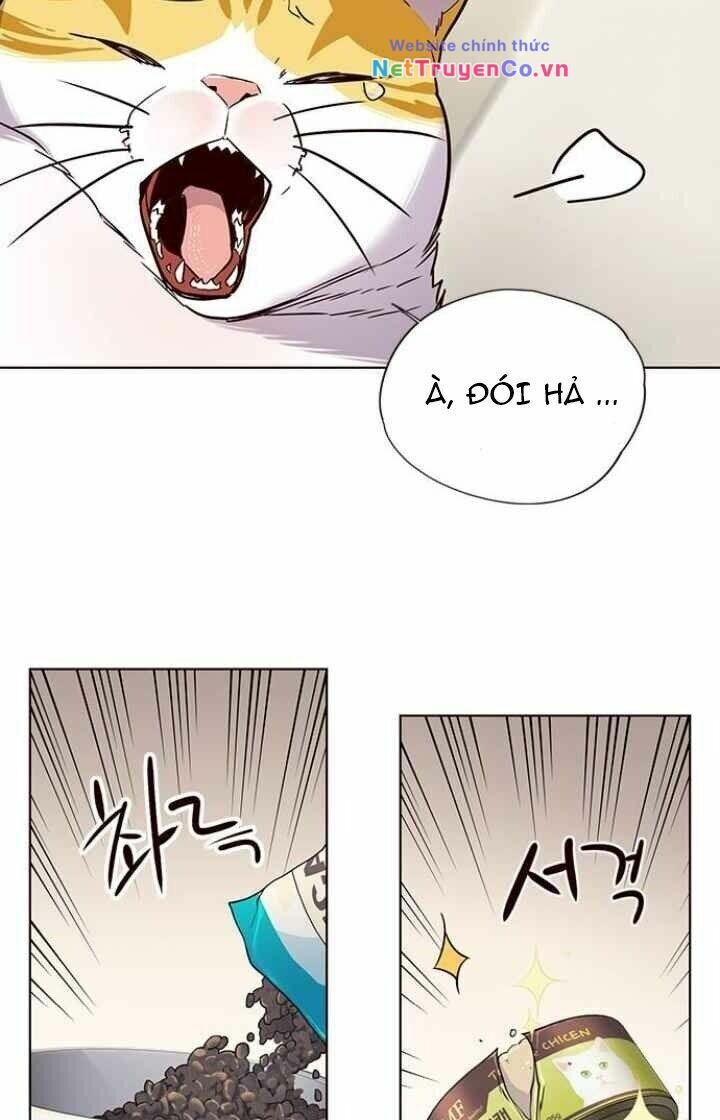 Cô Dâu Của Sói Trắng Chapter 101 - Trang 2