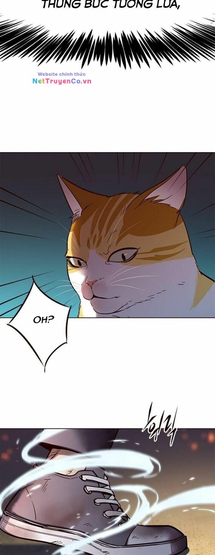 Cô Dâu Của Sói Trắng Chapter 110 - Trang 2