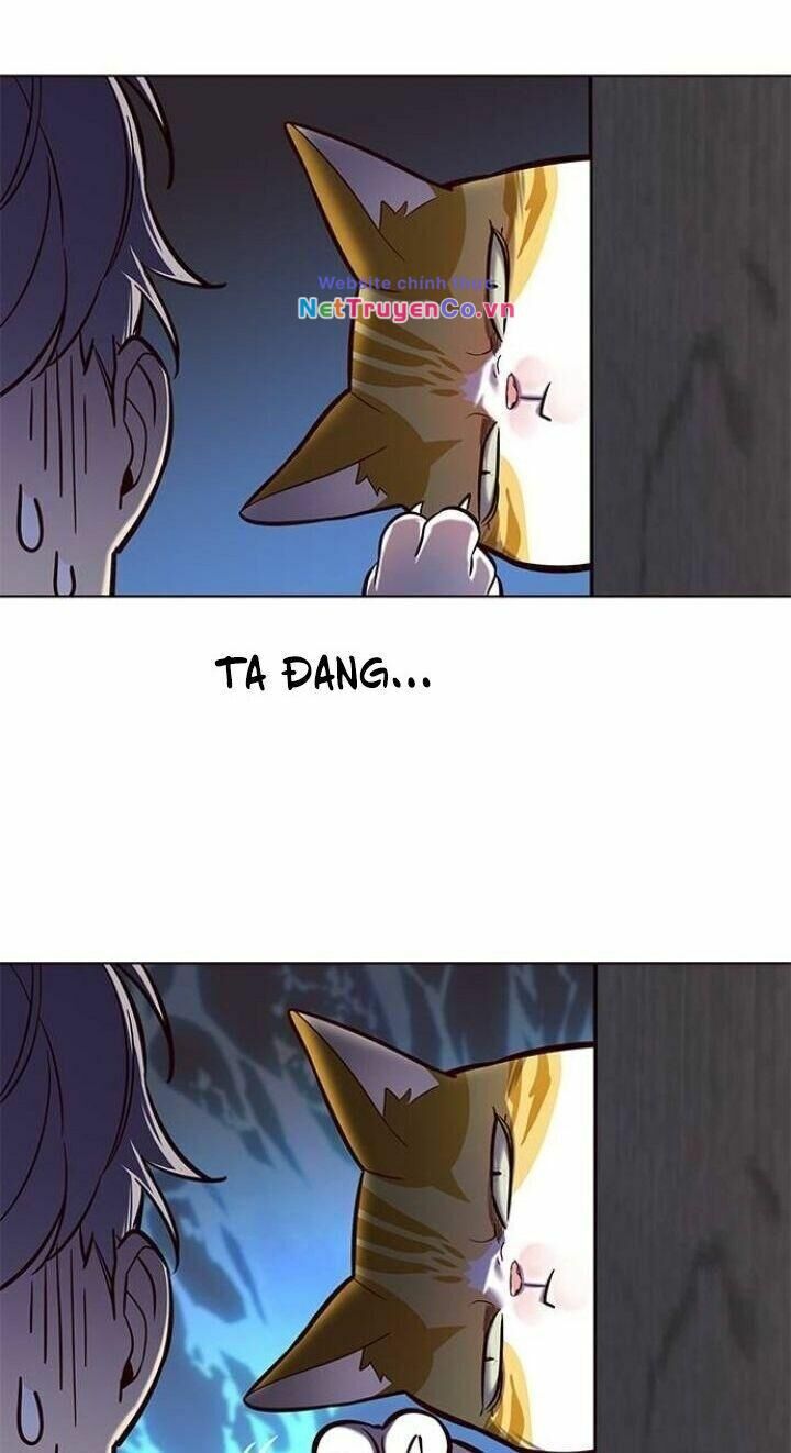 Cô Dâu Của Sói Trắng Chapter 112 - Trang 2