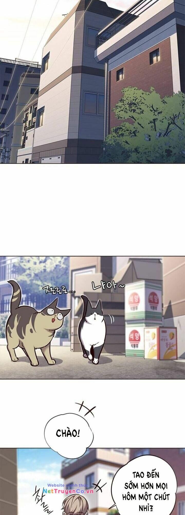 Cô Dâu Của Sói Trắng Chapter 117 - Trang 2