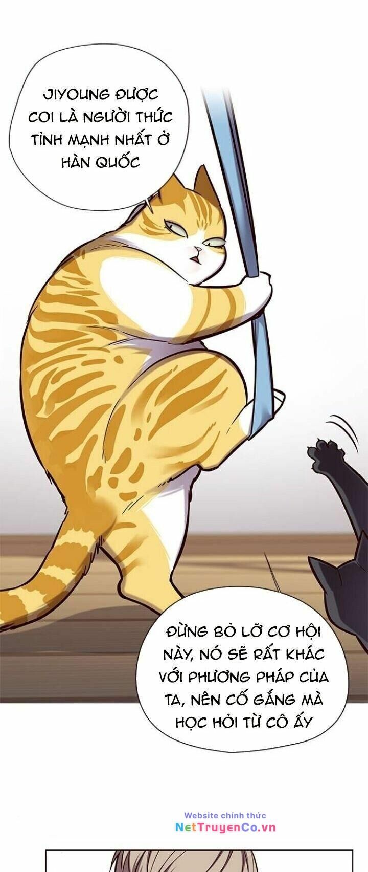 Cô Dâu Của Sói Trắng Chapter 118 - Trang 2