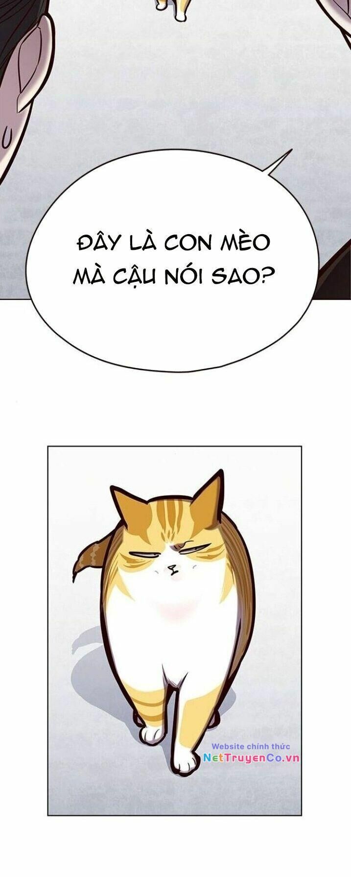 Cô Dâu Của Sói Trắng Chapter 119 - Trang 2