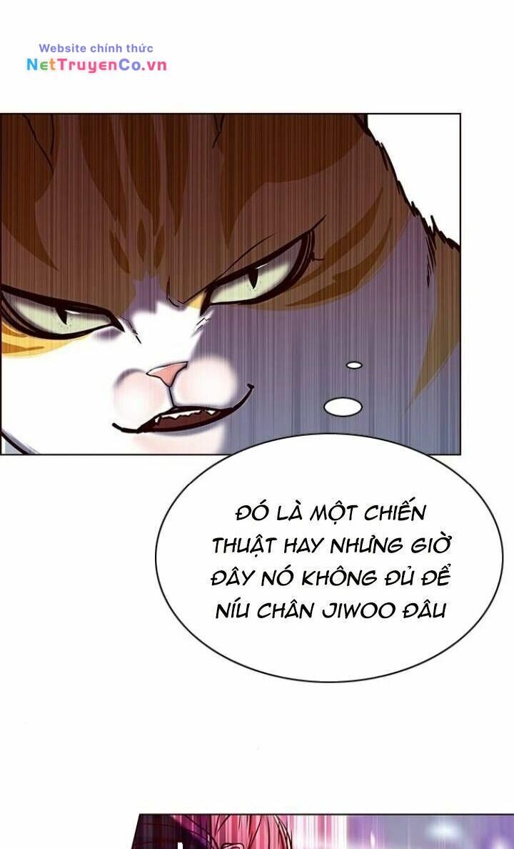 Cô Dâu Của Sói Trắng Chapter 119 - Trang 2
