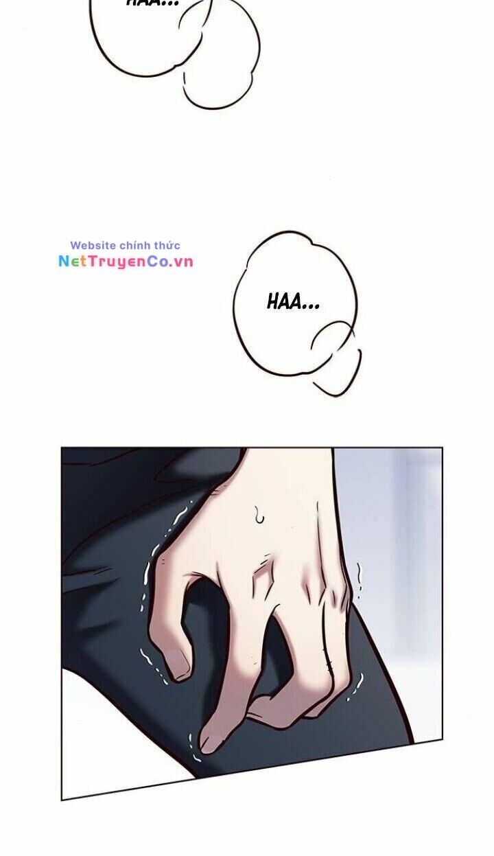 Cô Dâu Của Sói Trắng Chapter 120 - Trang 2