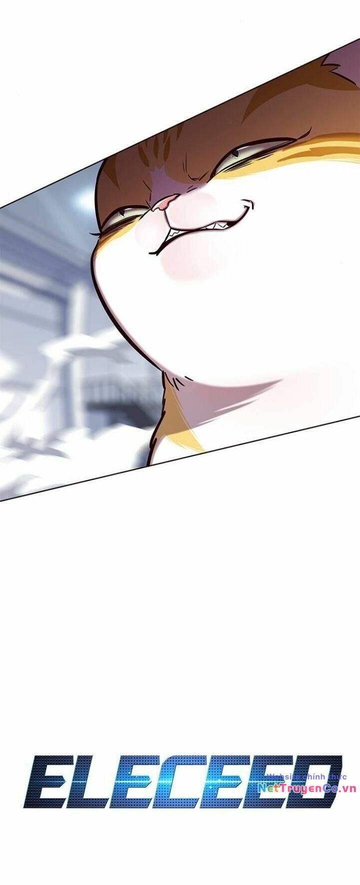 Cô Dâu Của Sói Trắng Chapter 121 - Trang 2