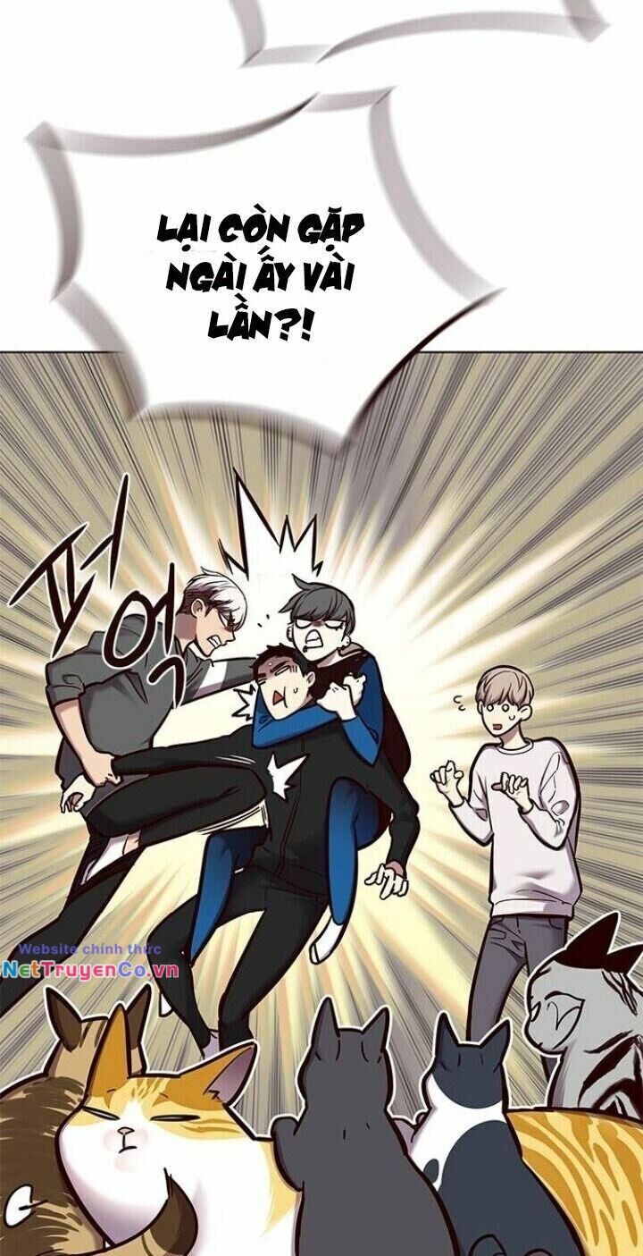 Cô Dâu Của Sói Trắng Chapter 123 - Trang 2