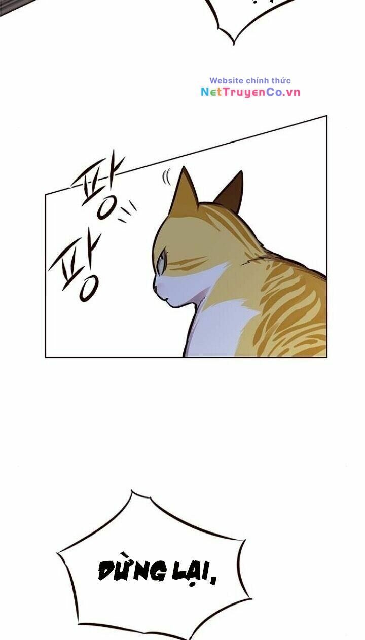 Cô Dâu Của Sói Trắng Chapter 124 - Trang 2