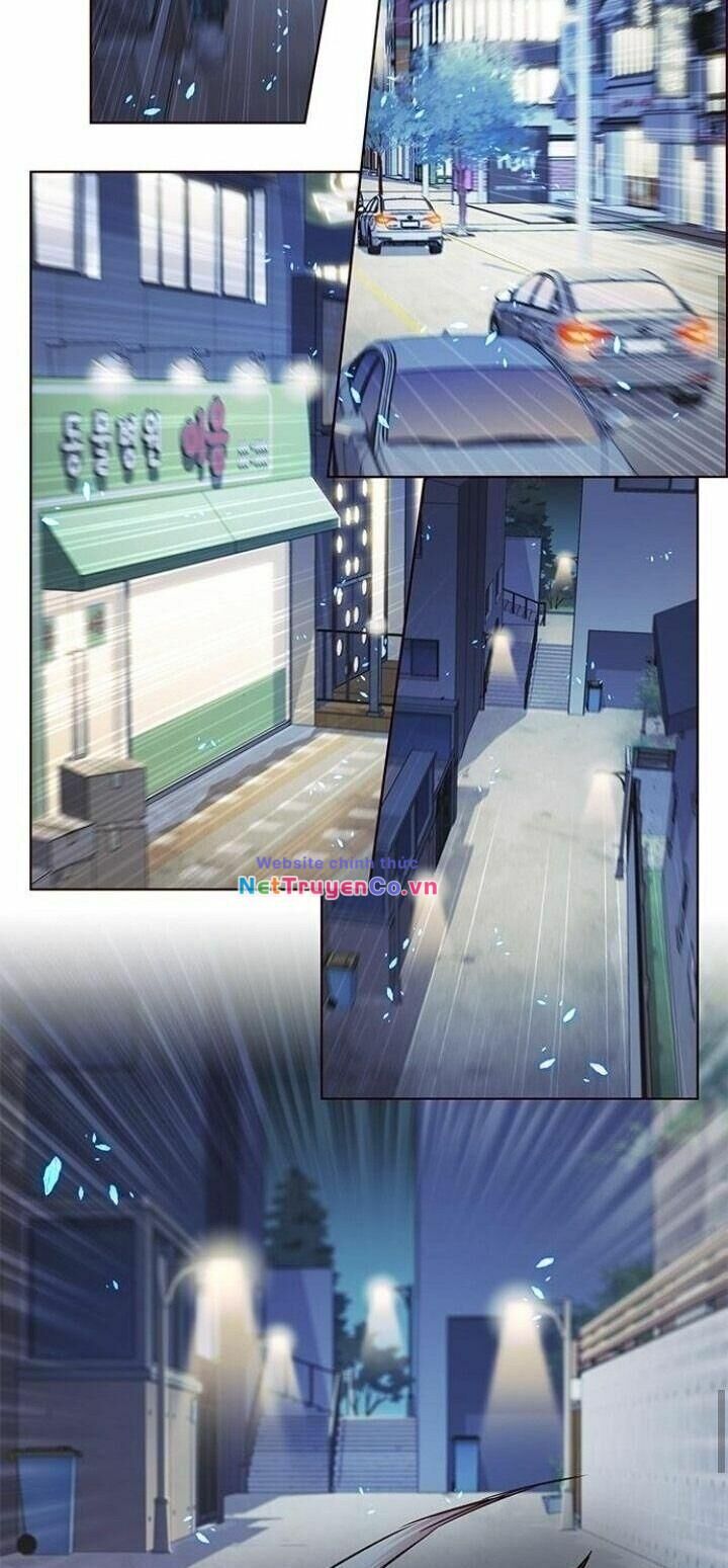 Cô Dâu Của Sói Trắng Chapter 126 - Trang 2