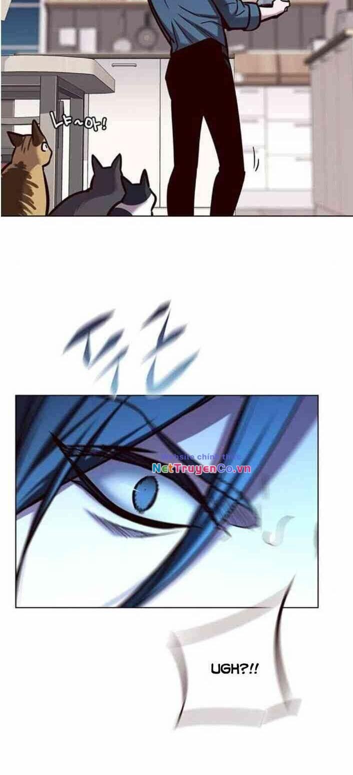Cô Dâu Của Sói Trắng Chapter 138 - Trang 2