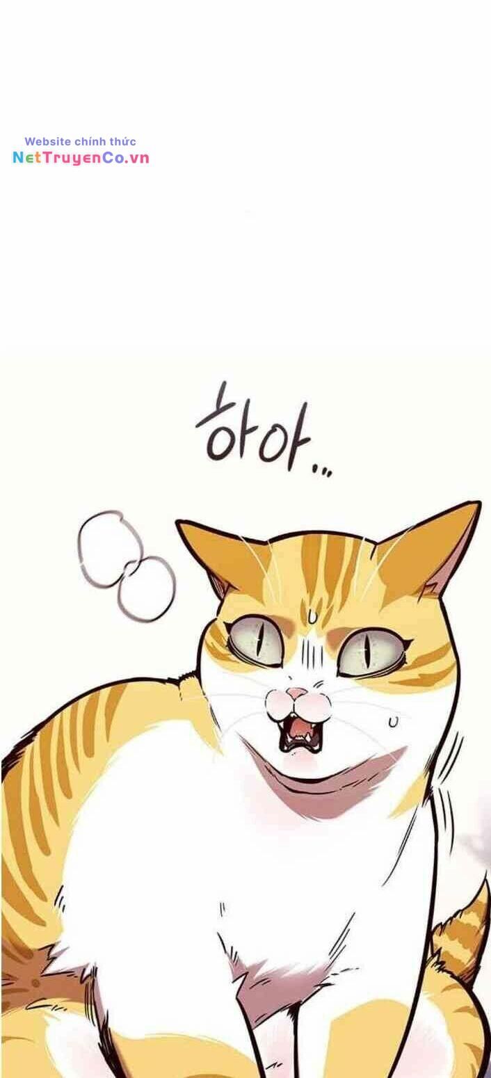 Cô Dâu Của Sói Trắng Chapter 138 - Trang 2