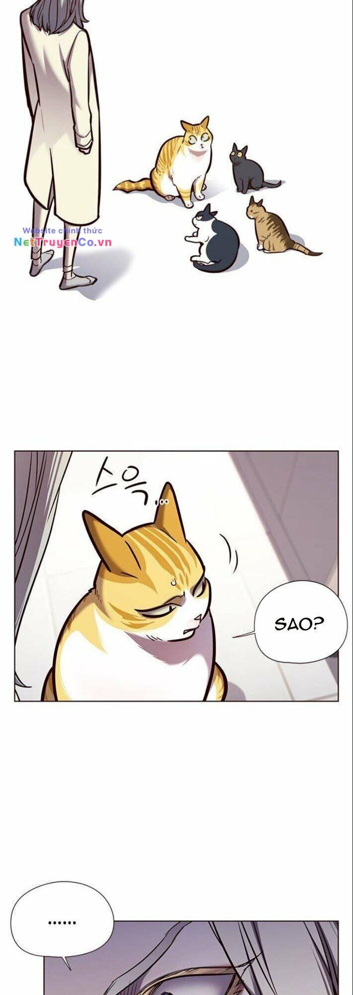 Cô Dâu Của Sói Trắng Chapter 139 - Trang 2