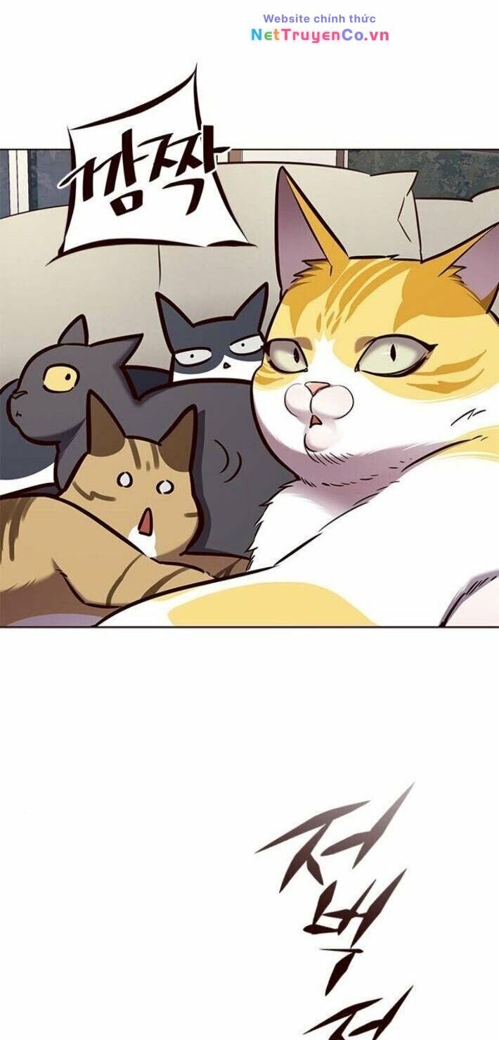 Cô Dâu Của Sói Trắng Chapter 141 - Trang 2