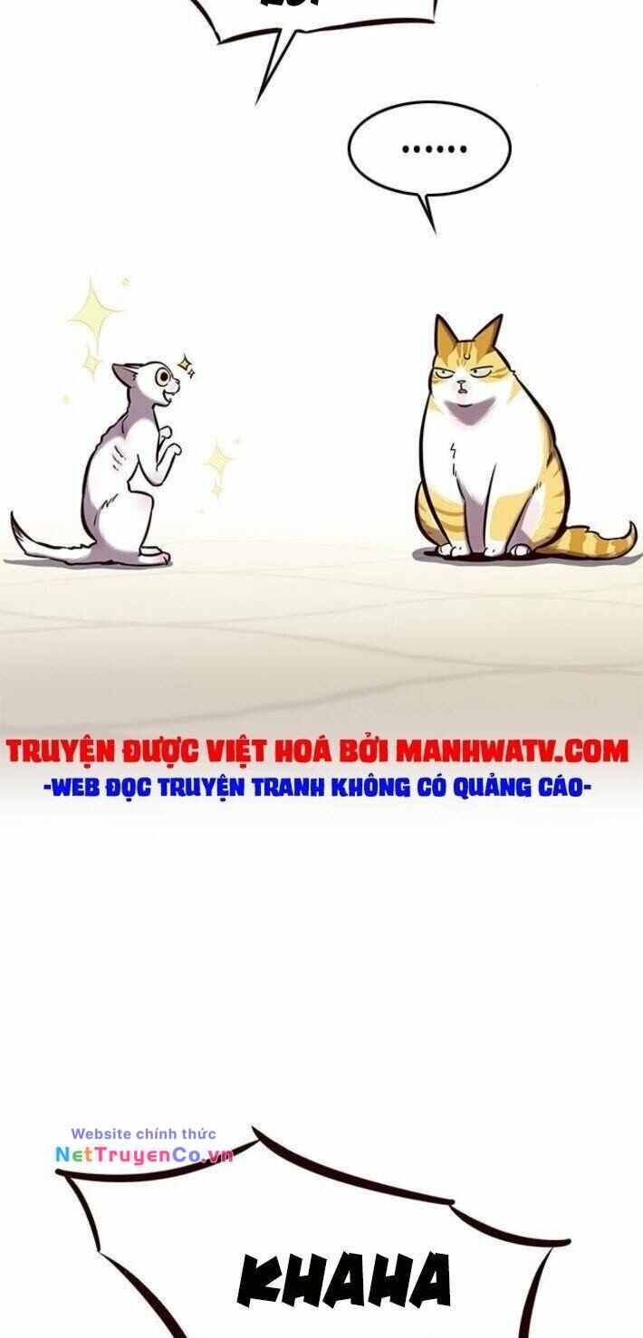 Cô Dâu Của Sói Trắng Chapter 141 - Trang 2