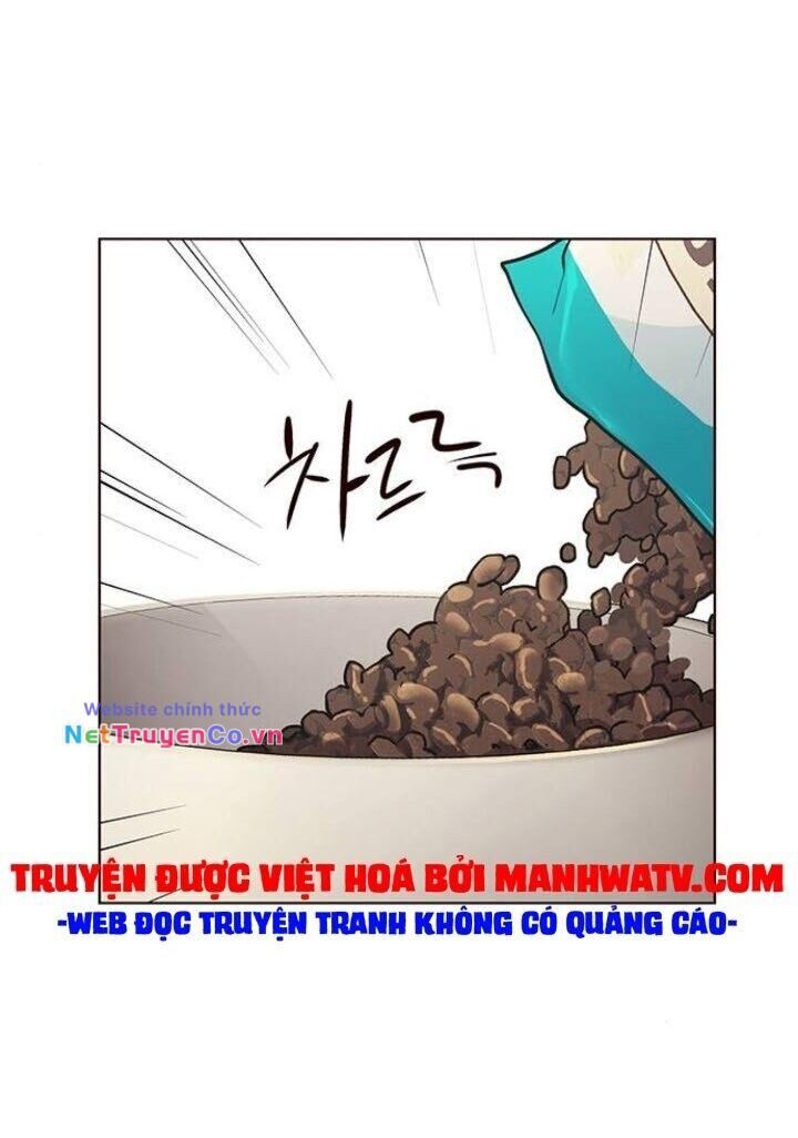 Cô Dâu Của Sói Trắng Chapter 143 - Trang 2