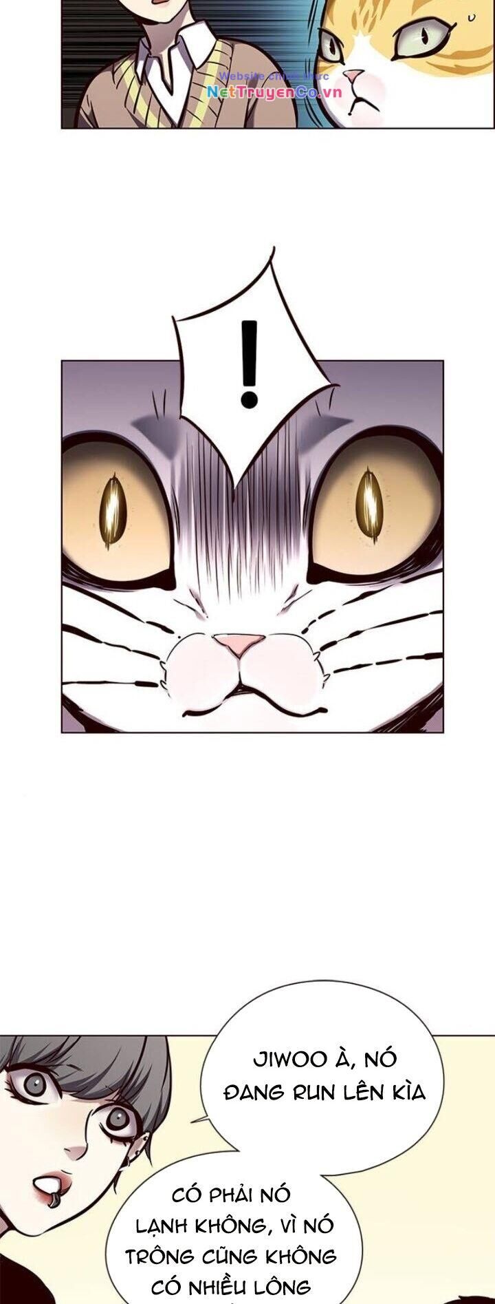 Cô Dâu Của Sói Trắng Chapter 143 - Trang 2