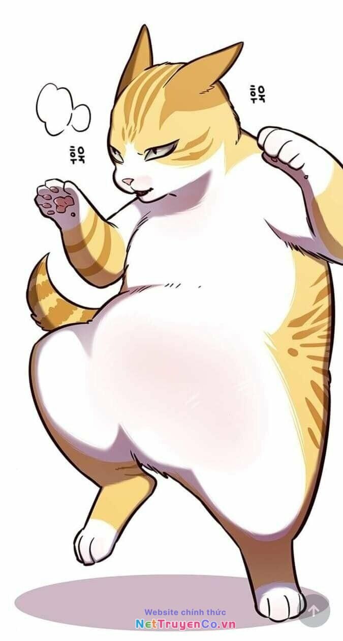 Cô Dâu Của Sói Trắng Chapter 144 - Trang 2