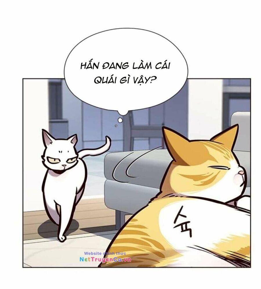 Cô Dâu Của Sói Trắng Chapter 144 - Trang 2