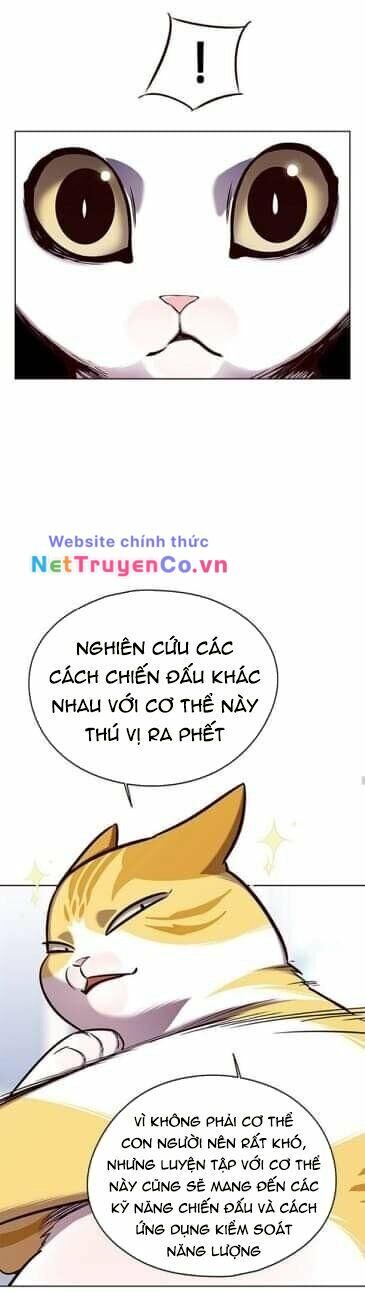 Cô Dâu Của Sói Trắng Chapter 144 - Trang 2