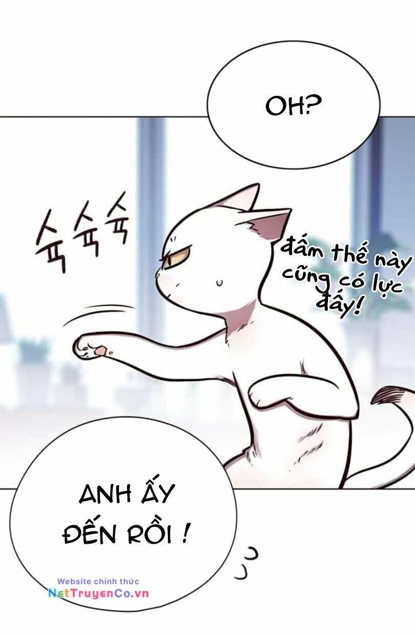 Cô Dâu Của Sói Trắng Chapter 144 - Trang 2