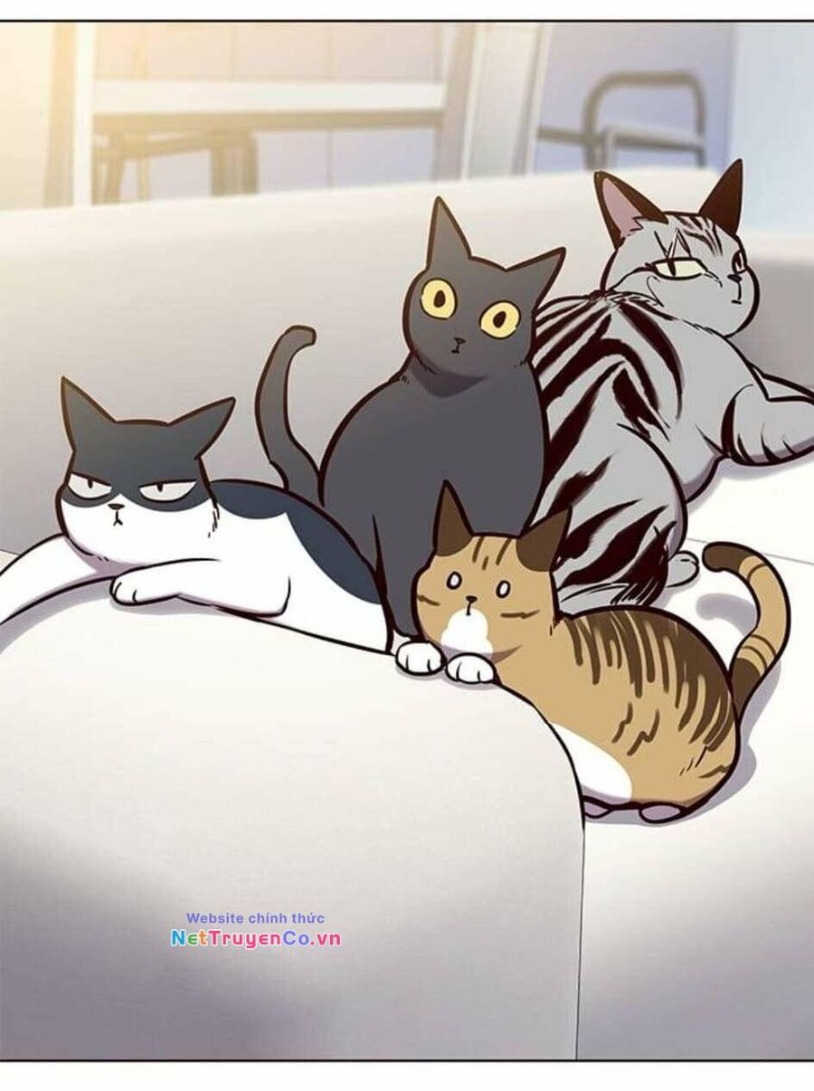 Cô Dâu Của Sói Trắng Chapter 144 - Trang 2