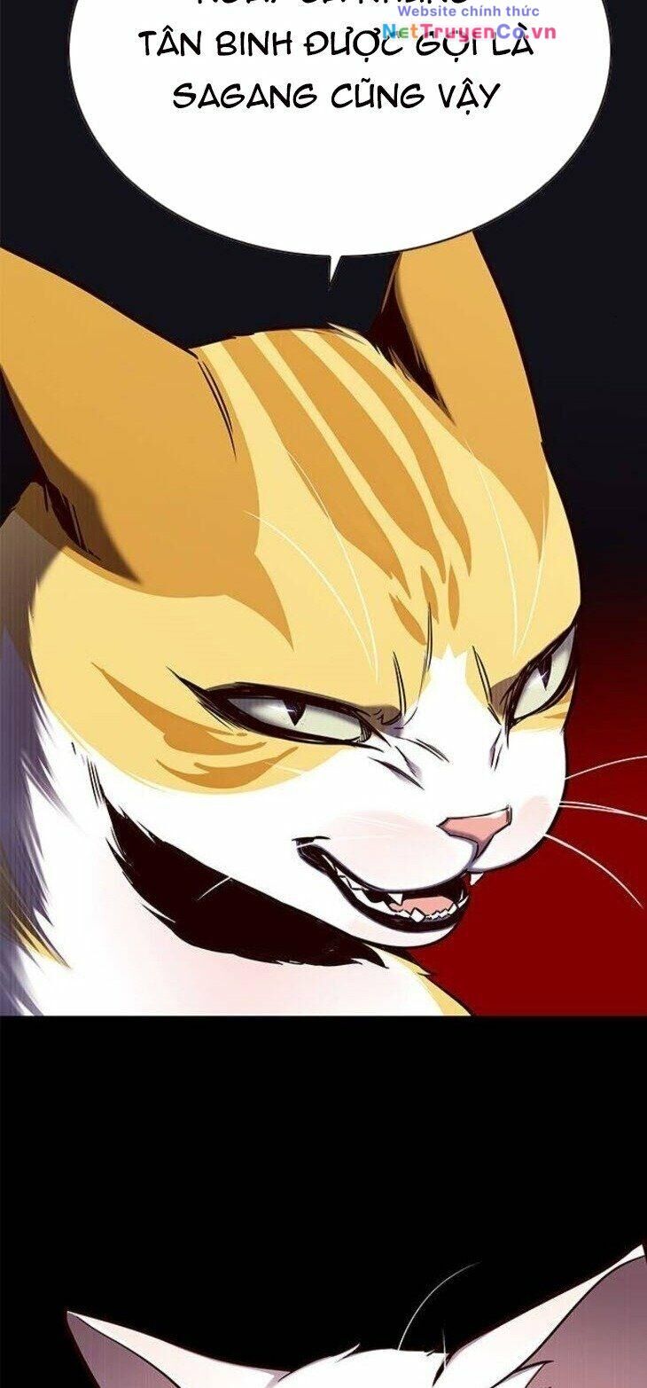 Cô Dâu Của Sói Trắng Chapter 146 - Trang 2