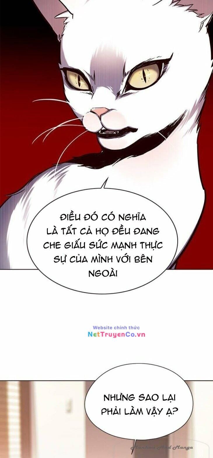 Cô Dâu Của Sói Trắng Chapter 146 - Trang 2