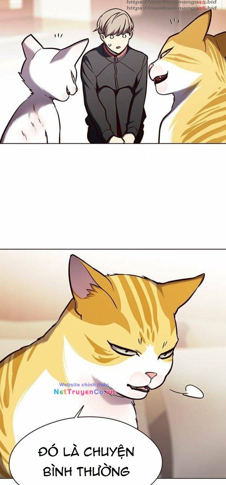 Cô Dâu Của Sói Trắng Chapter 146 - Trang 2