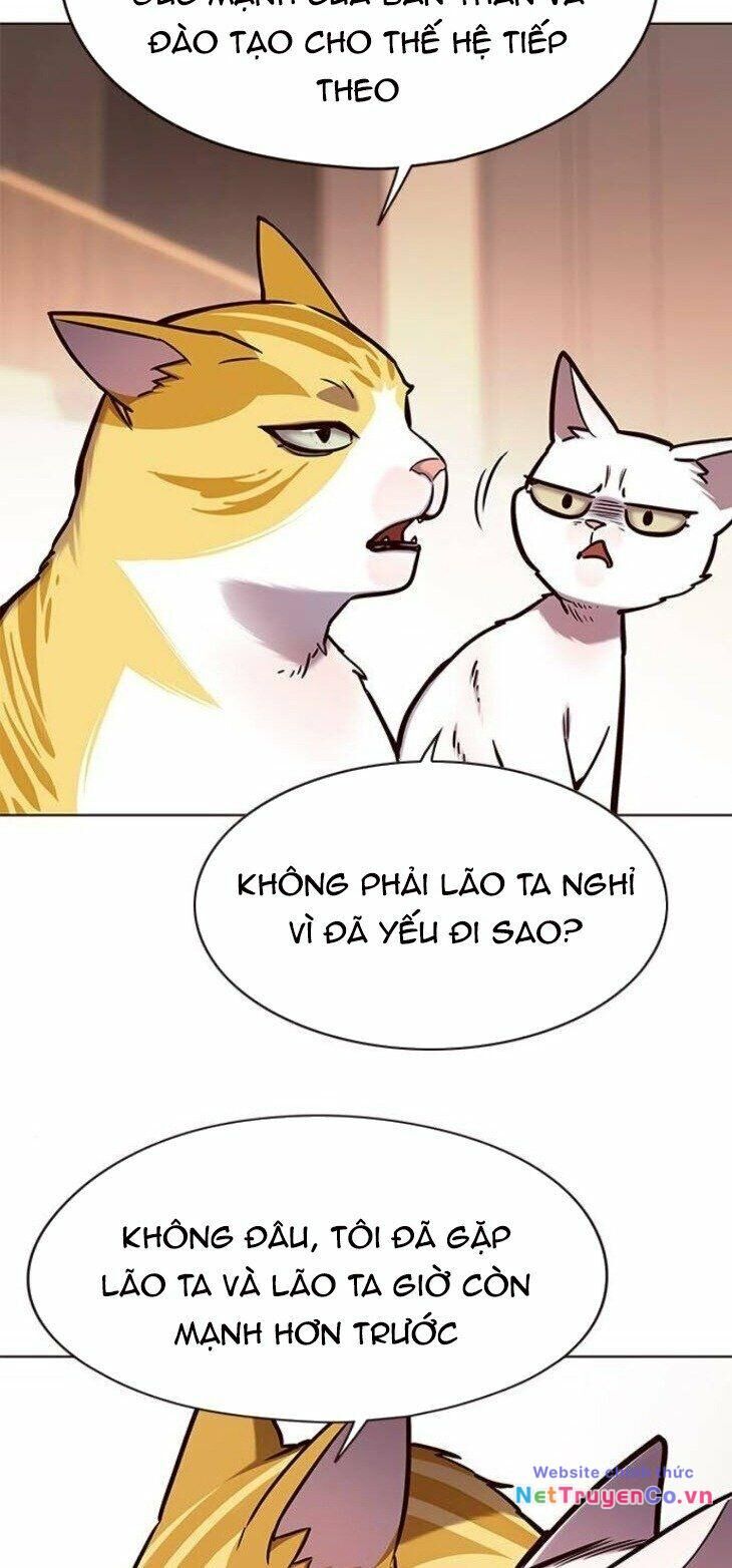 Cô Dâu Của Sói Trắng Chapter 146 - Trang 2