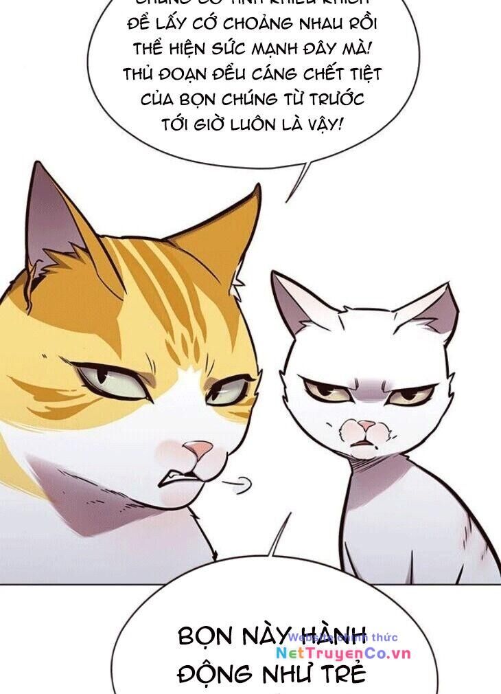 Cô Dâu Của Sói Trắng Chapter 148 - Trang 2