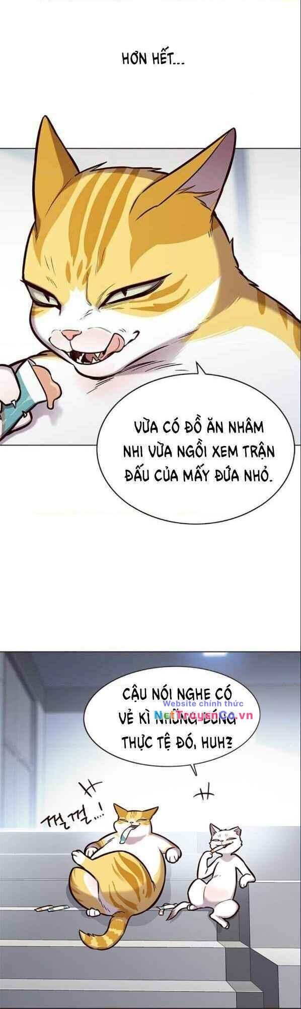 Cô Dâu Của Sói Trắng Chapter 153 - Trang 2