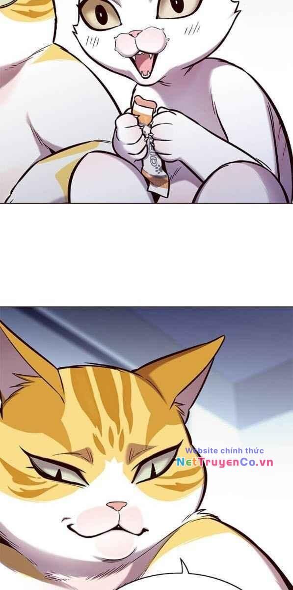 Cô Dâu Của Sói Trắng Chapter 153 - Trang 2