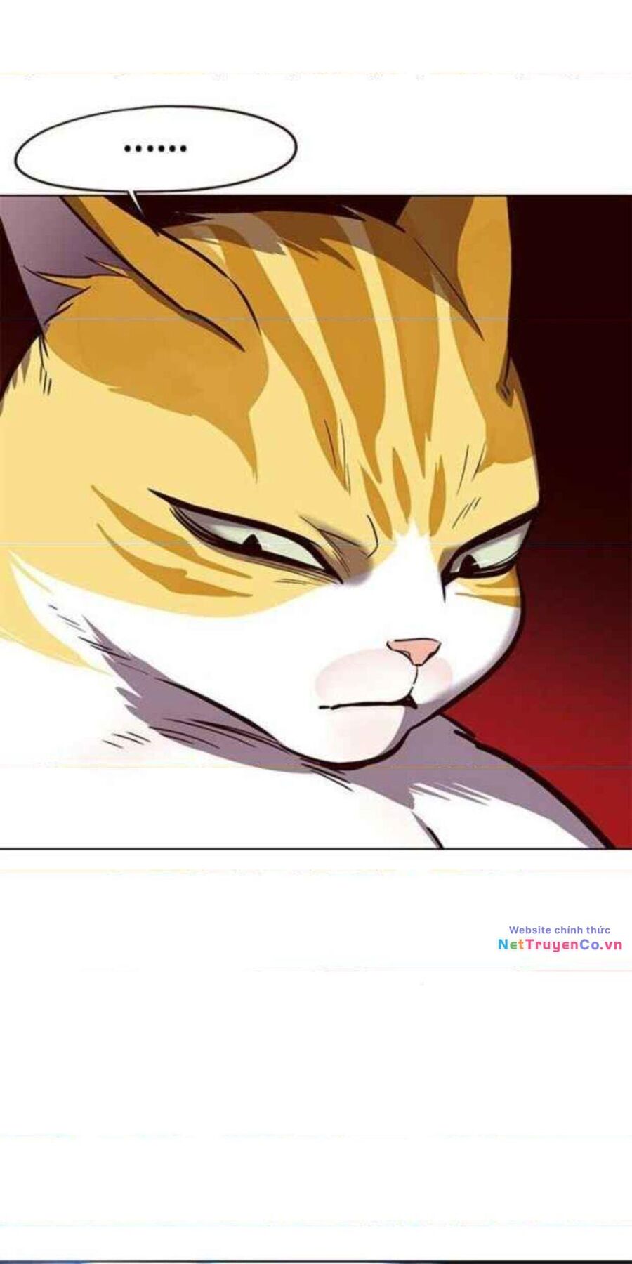 Cô Dâu Của Sói Trắng Chapter 154 - Trang 2