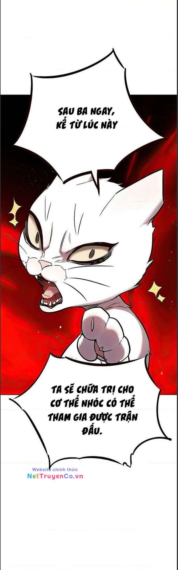 Cô Dâu Của Sói Trắng Chapter 156 - Trang 2