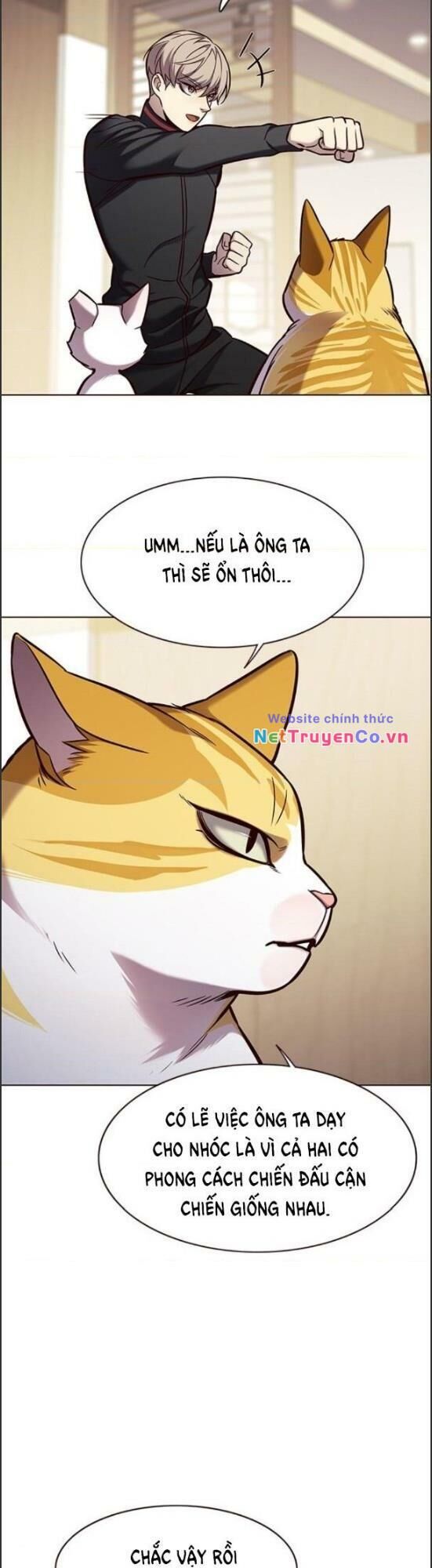 Cô Dâu Của Sói Trắng Chapter 157 - Trang 2