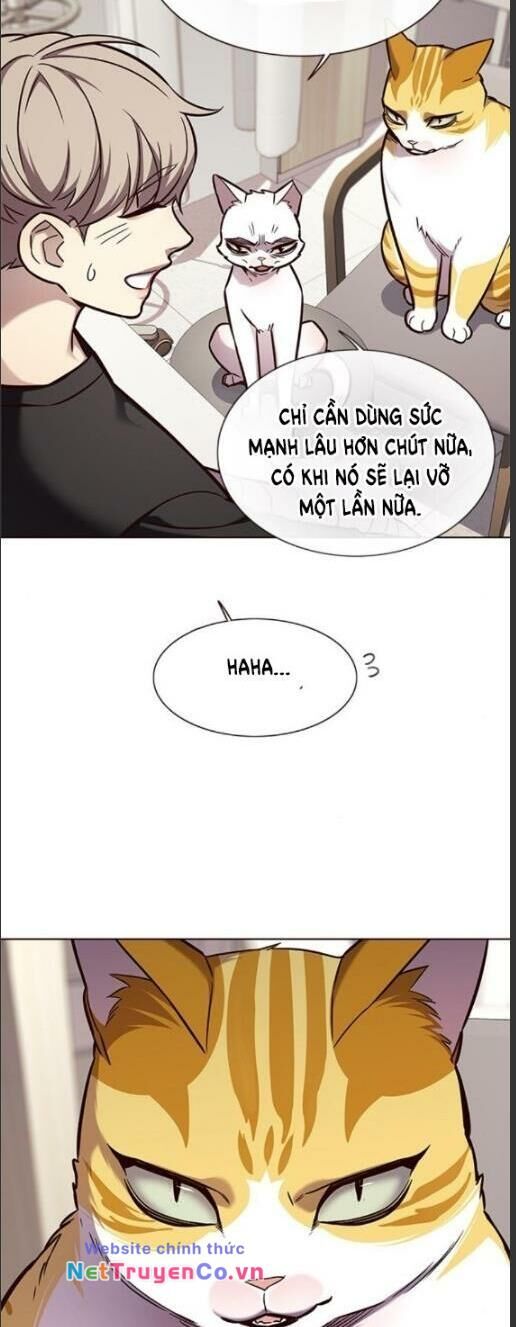 Cô Dâu Của Sói Trắng Chapter 160 - Trang 2