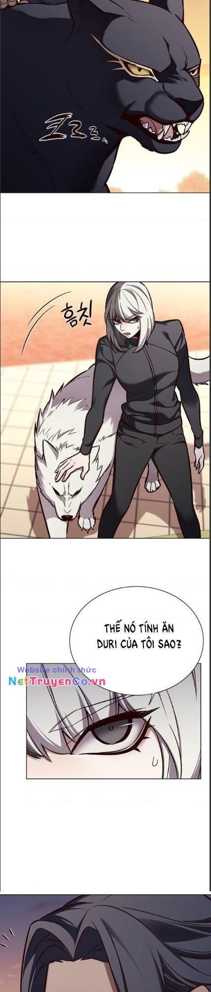 Cô Dâu Của Sói Trắng Chapter 161 - Trang 2